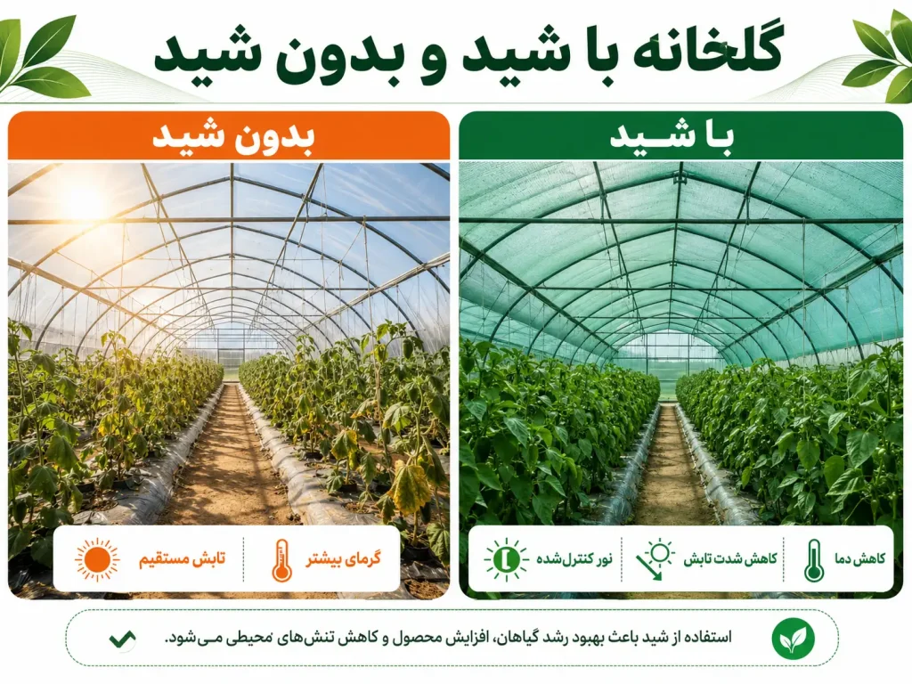 لیست قیمت شید گلخانه؛ قیمت روز و راهنمای انتخاب توری مناسب 6 گلخانه با شید و بدون شید